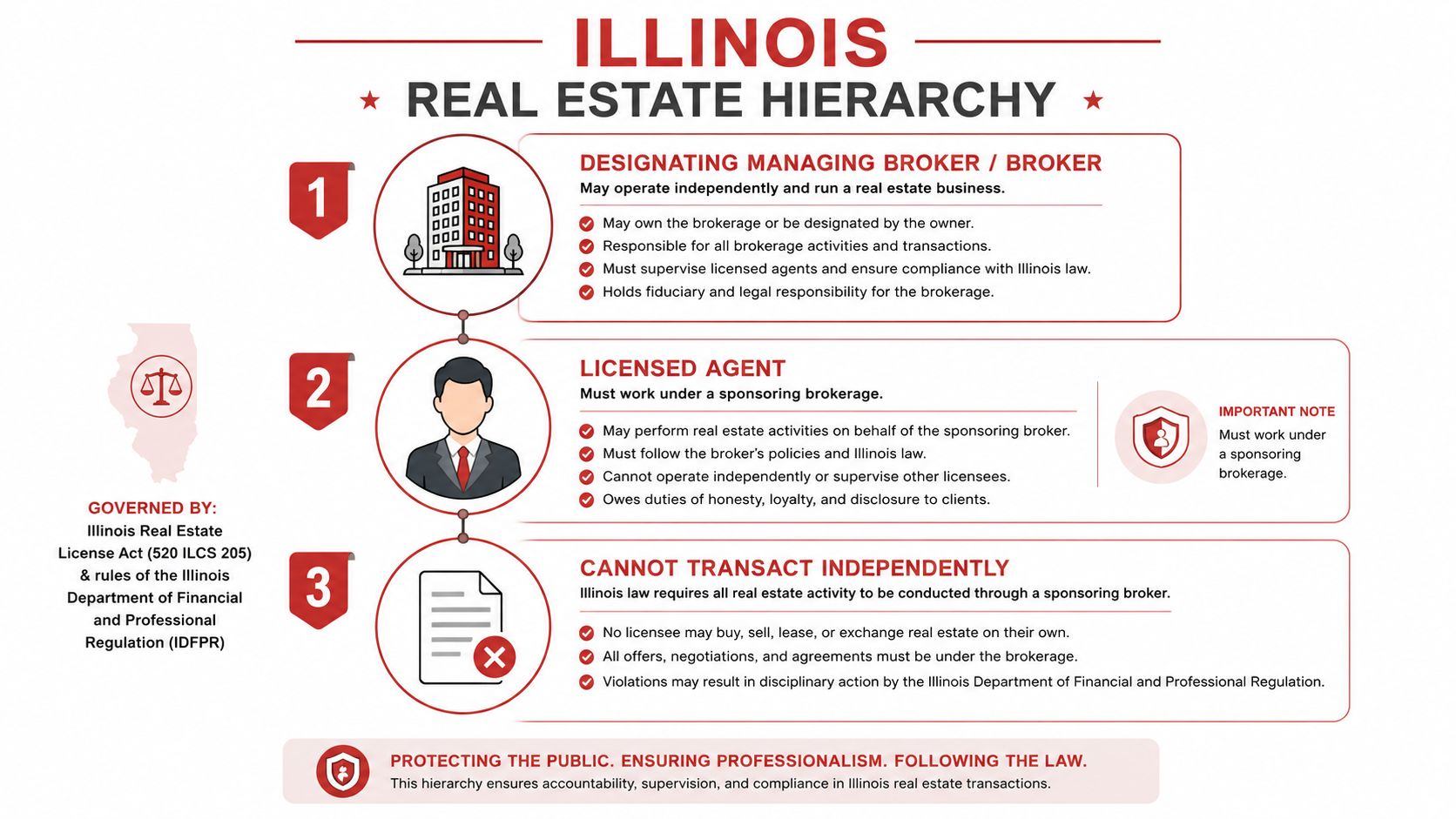 An infographic detailing the Illinois real estate hierarchy, explaining roles from managing brokers to licensed agents.